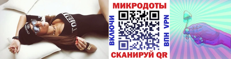 Псилоцибиновые грибы Psilocybe купить цена Подпорожье
