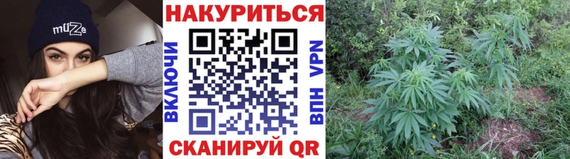 Шишки марихуана LSD WEED Подпорожье